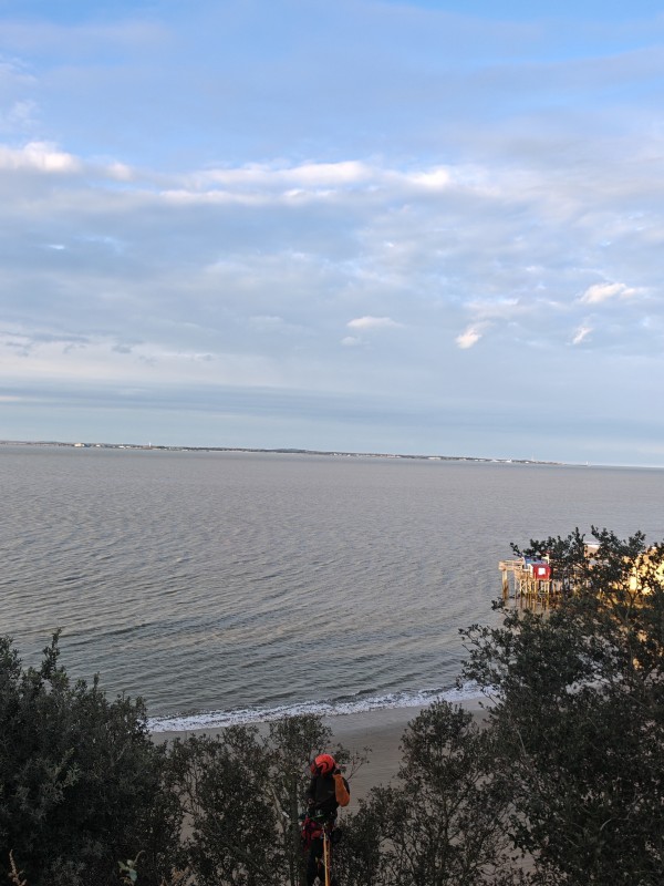Élagage sur falaise en Charente 