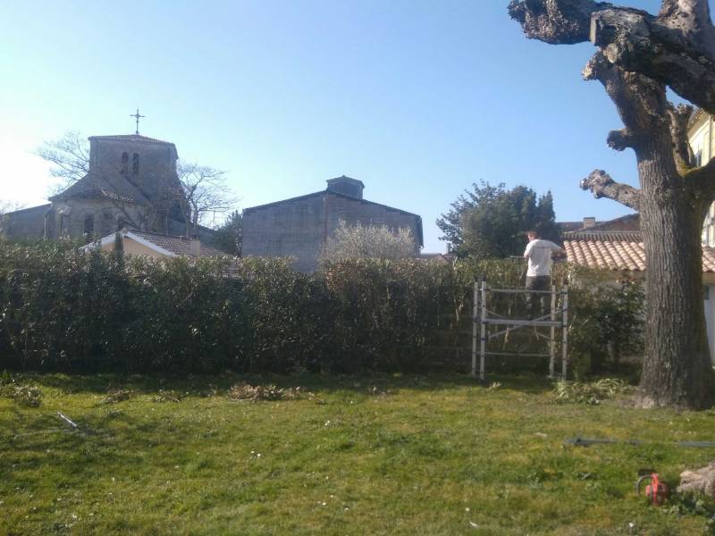 Taille de Haies sur St André de Cubzac et ses environs