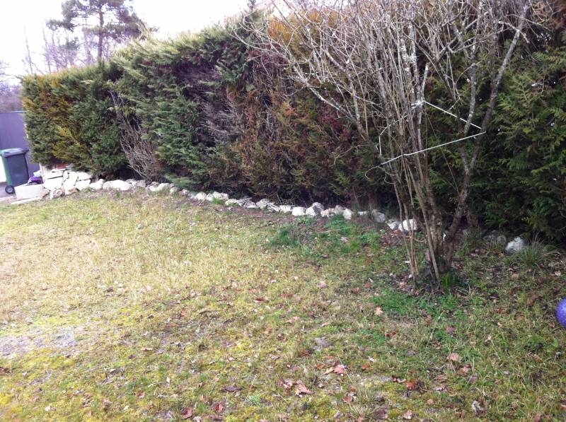 Entretien de jardin et haies à Libourne