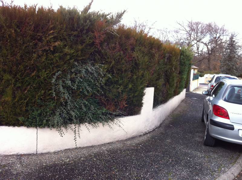 Entretien de jardin et haies à Libourne