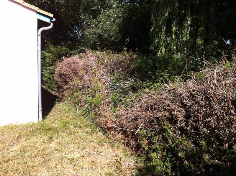 Entretien de jardin et haies à Libourne