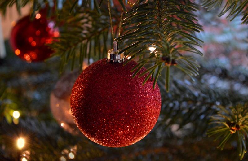 Création de jardin sur-mesure pour le fête de noël 2024 Bordeaux Cub