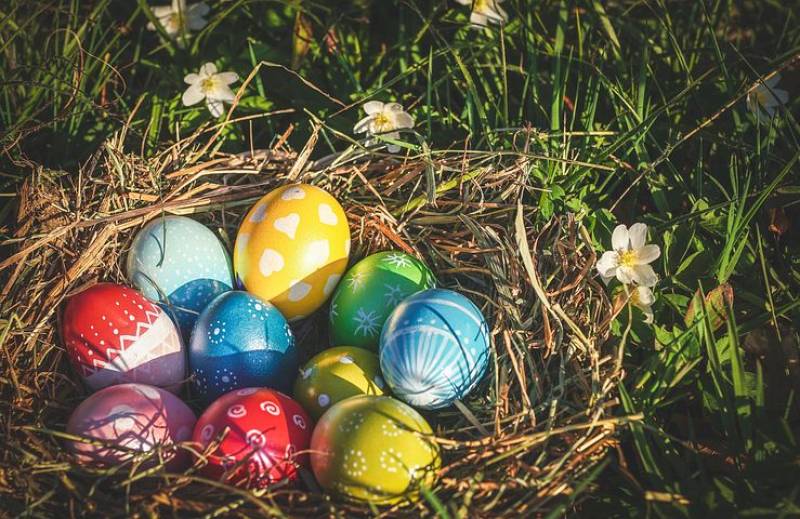 Fêtes de Pâques 2025, ne vous laissez pas surprendre par les chenilles processionnaires Gironde 33