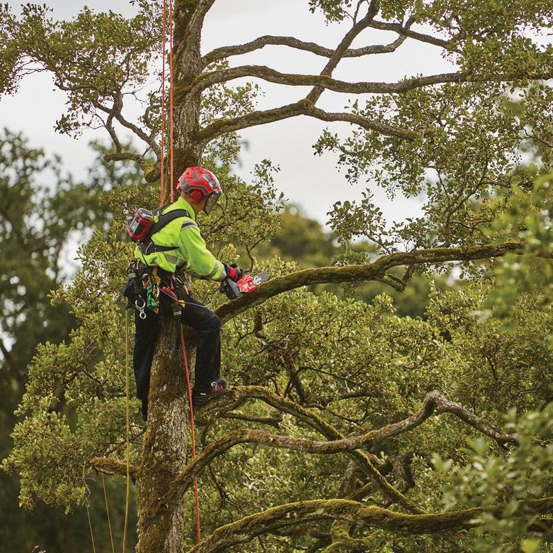 Société d'élagage d'arbre tout électrique pour couper un arbre en hauteur sur Bordeaux métropole