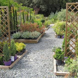 Vente de fleurs et d'arbustes Pépinière de L'Étang Meschers sur Gironde proche Royan